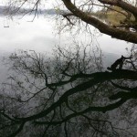 Schaukel über dem See